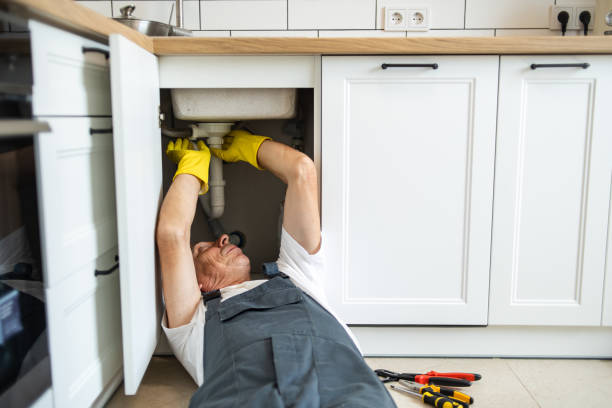 Best Sewer Line Replacement  in Villa Ridge, MO