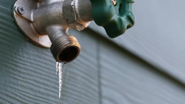 Best Leak Detection Services  in Villa Ridge, MO