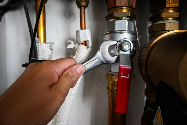 Best Toilet Repair Services  in Villa Ridge, MO